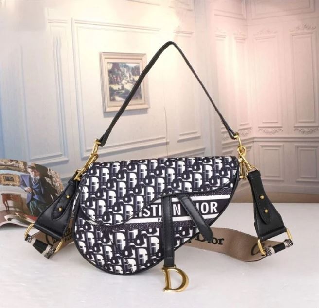 Dior Saddle Bag Oblique Embroidered