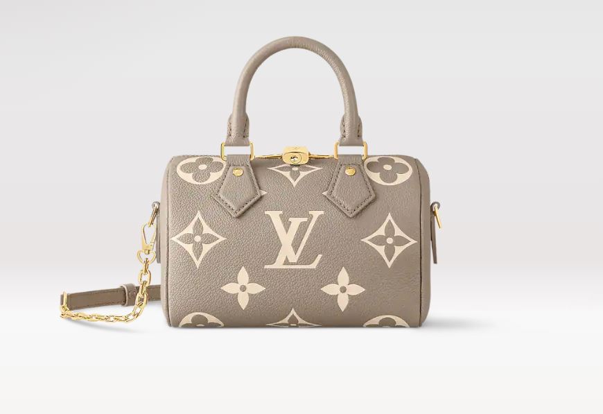 Louis Vuitton Speedy Nano 25 - 30CM