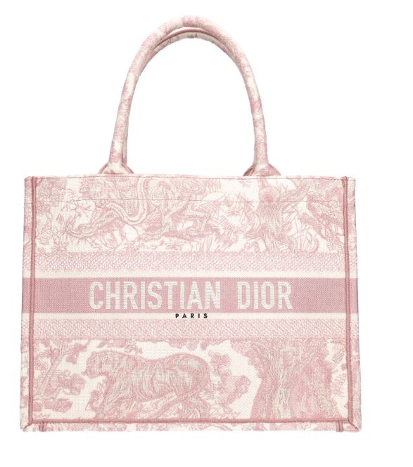 Dior Book Tote