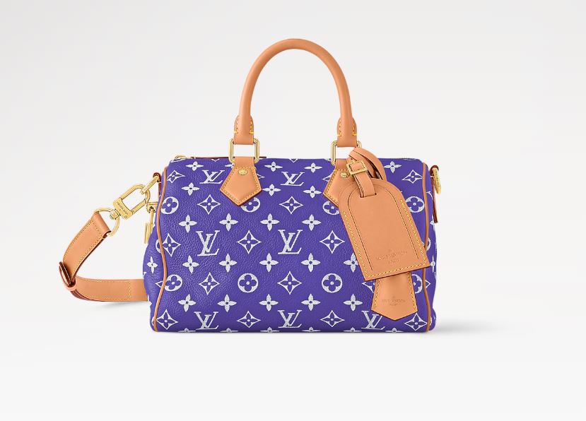 Louis Vuitton Speedy Nano 25 - 30CM