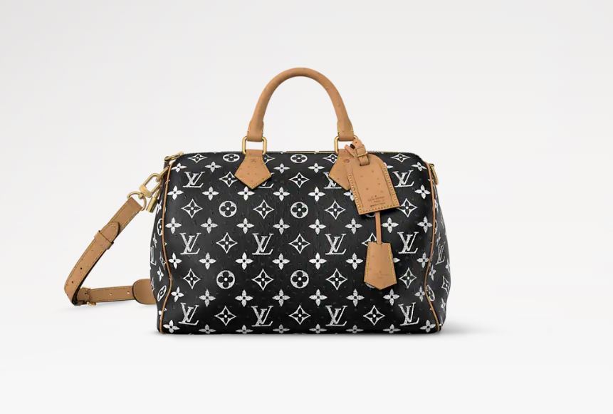 Louis Vuitton Speedy Nano 25 - 30CM
