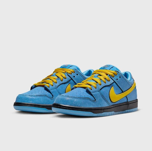 NIKE Dunk Low + Extra Laces + Tag + Box + Socks