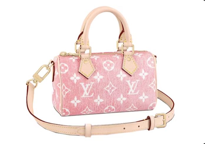 Louis Vuitton Speedy Nano 16