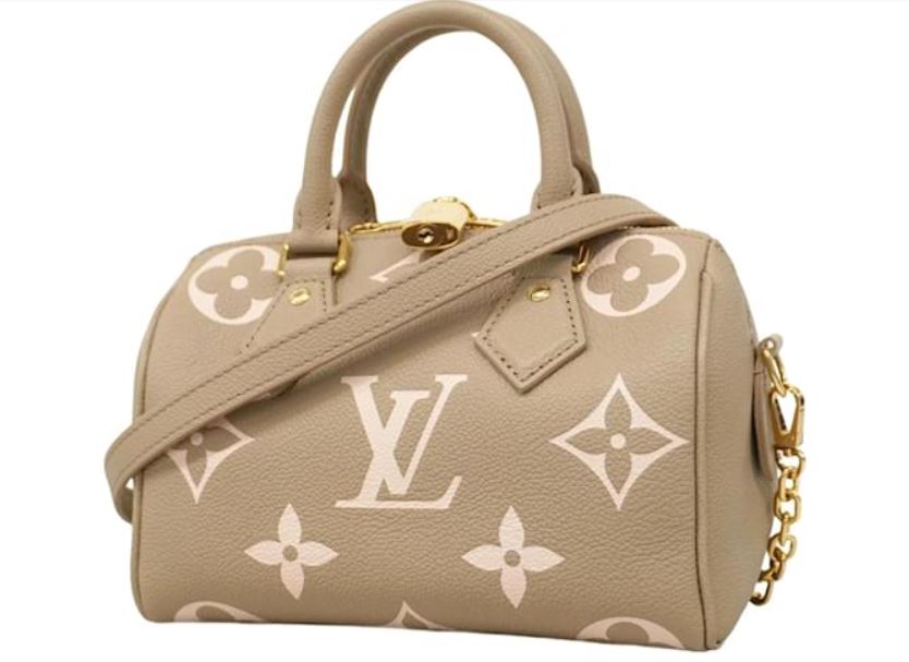 Louis Vuitton Speedy Nano 16